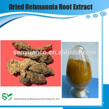 Extracto de raíz de Rehmannia seco